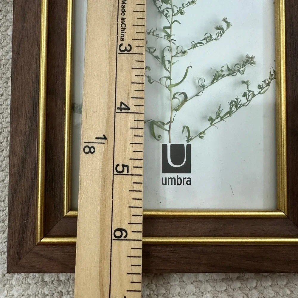 Umbra Wood Picture Frames Set of 3 Walnut Gold Trim 5x7 4x6 Tabletop Decor